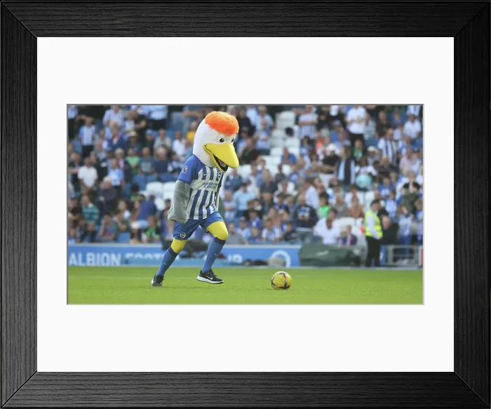 Framed Print : Intense Premier League Showdown: Brighton & Hove Albion vs. Liverpool (08.10.23) Framed Print : Intense Premier League Showdown: Brighton & Hove Albion vs. Liverpool (08.10.23)