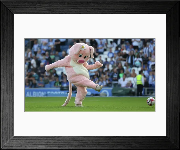 Framed Print : Intense Premier League Showdown: Brighton & Hove Albion vs. Liverpool (08.10.23) Framed Print : Intense Premier League Showdown: Brighton & Hove Albion vs. Liverpool (08.10.23)