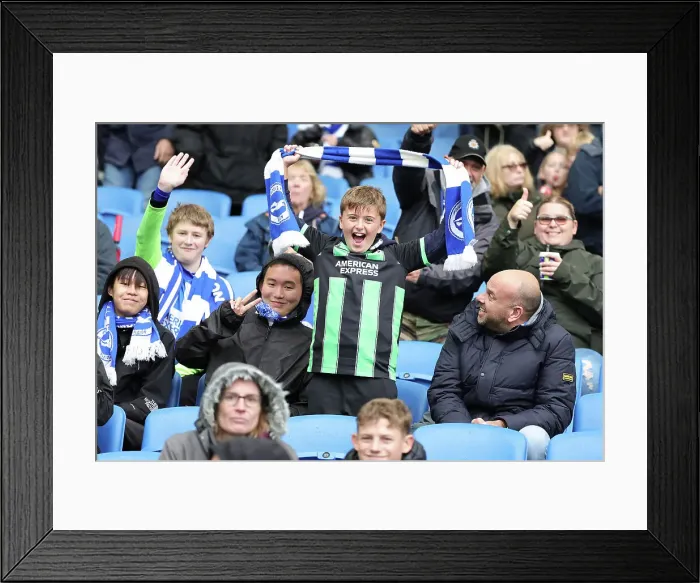Framed Print : Premier League Showdown: Brighton & Hove Albion vs. Fulham at American Express Stadium (October 29, 2023)