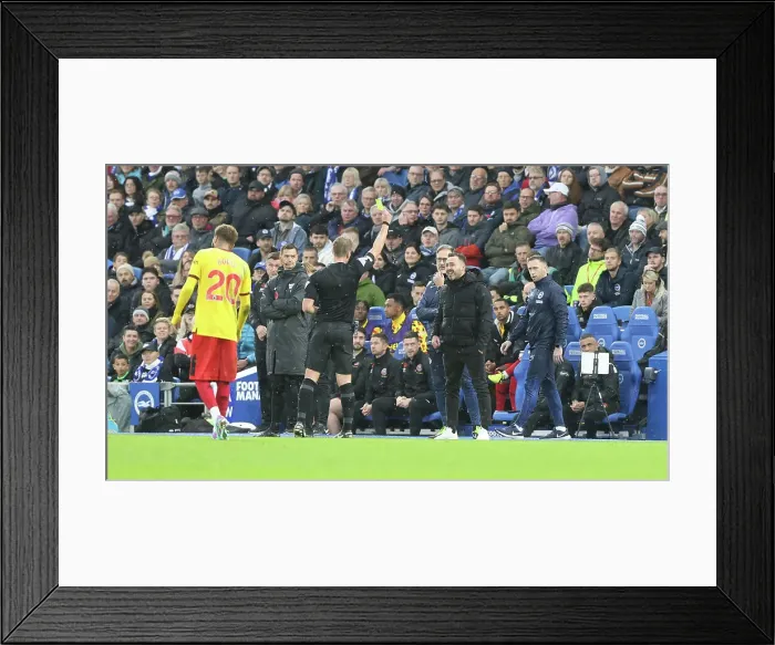 Framed Print : Premier League Battle: Brighton & Hove Albion vs Sheffield United (Nov 12, 2023) Framed Print : Premier League Battle: Brighton & Hove Albion vs Sheffield United (Nov 12, 2023)