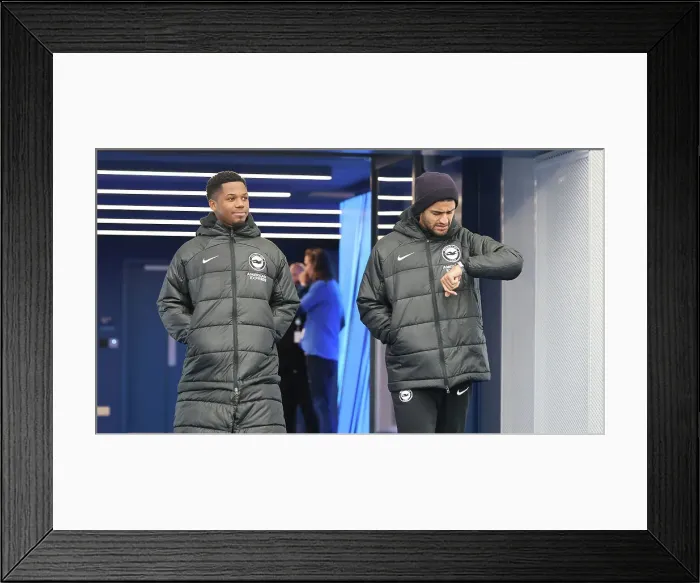 Framed Print : Intense Premier League Clash: Brighton & Hove Albion vs. Sheffield United (12 Nov. 2023) Framed Print : Intense Premier League Clash: Brighton & Hove Albion vs. Sheffield United (12 Nov. 2023)