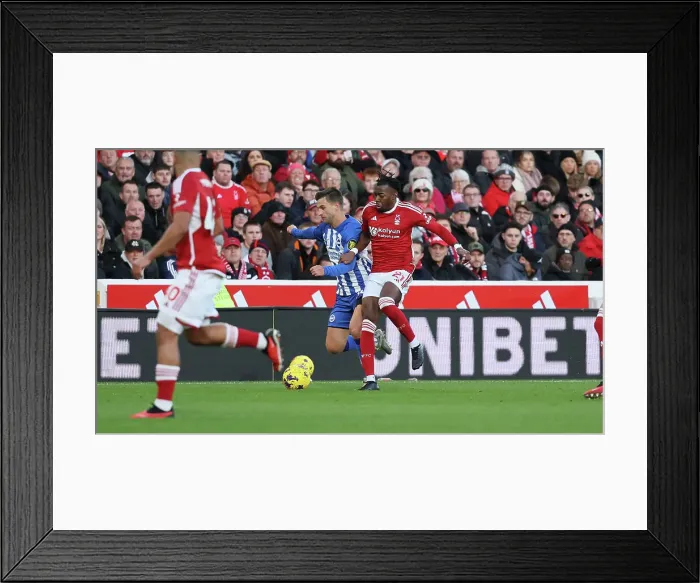Framed Print : Brighton and Hove Albion Battle Nottingham Forest in Premier League Clash (25NOV23)