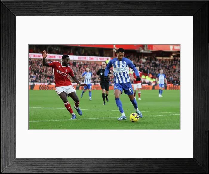 Framed Print : Premier League Showdown: Brighton and Hove Albion vs. Nottingham Forest (25NOV23) Framed Print : Premier League Showdown: Brighton and Hove Albion vs. Nottingham Forest (25NOV23)
