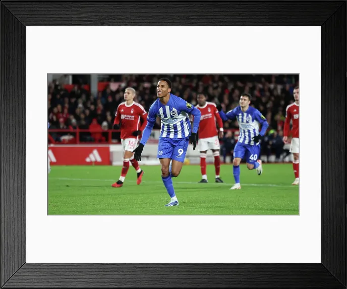 Framed Print : Premier League Clash: Nottingham Forest vs. Brighton and Hove Albion (25NOV23)