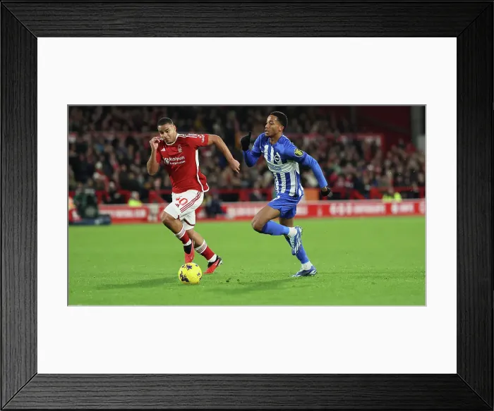 Framed Print : Premier League Clash: Nottingham Forest vs. Brighton and Hove Albion (25NOV23) Framed Print : Premier League Clash: Nottingham Forest vs. Brighton and Hove Albion (25NOV23)