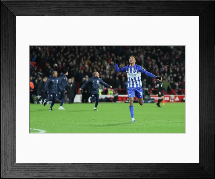 Framed Print : Premier League Showdown: Nottingham Forest vs. Brighton and Hove Albion (25NOV23) Framed Print : Premier League Showdown: Nottingham Forest vs. Brighton and Hove Albion (25NOV23)