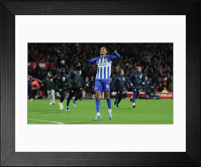 Framed Print : Intense Premier League Showdown: Nottingham Forest vs. Brighton and Hove Albion (25NOV23) Framed Print : Intense Premier League Showdown: Nottingham Forest vs. Brighton and Hove Albion (25NOV23)
