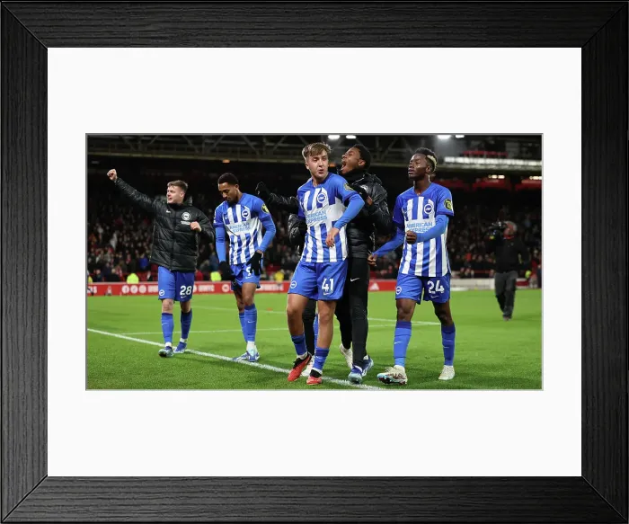 Framed Print : Premier League Clash: Nottingham Forest vs. Brighton and Hove Albion (25NOV23) Framed Print : Premier League Clash: Nottingham Forest vs. Brighton and Hove Albion (25NOV23)