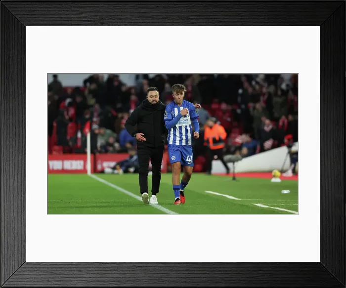 Framed Print : Brighton and Hove Albion vs. Nottingham Forest: A Premier League Battle at City Ground (November 25, 2023) Framed Print : Brighton and Hove Albion vs. Nottingham Forest: A Premier League Battle at City Ground (November 25, 2023)