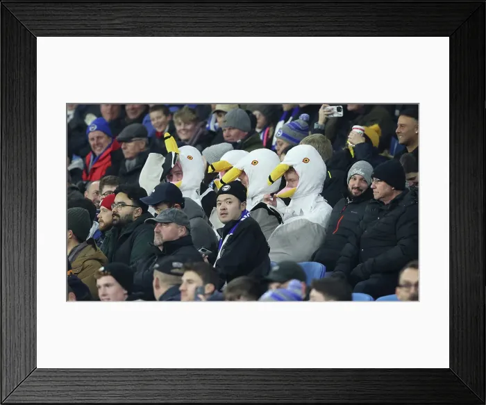 Framed Print : Intense Premier League Showdown: Brighton & Hove Albion vs. Brentford (06DEC23) Framed Print : Intense Premier League Showdown: Brighton & Hove Albion vs. Brentford (06DEC23)