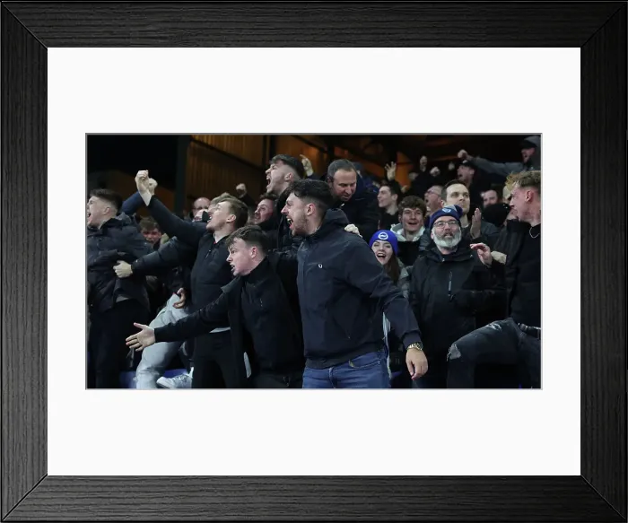Framed Print : Decisive Moment: Crystal Palace vs. Brighton & Hove Albion - Premier League Rivalry at Selhurst Park (21DEC23) Framed Print : Decisive Moment: Crystal Palace vs. Brighton & Hove Albion - Premier League Rivalry at Selhurst Park (21DEC23)