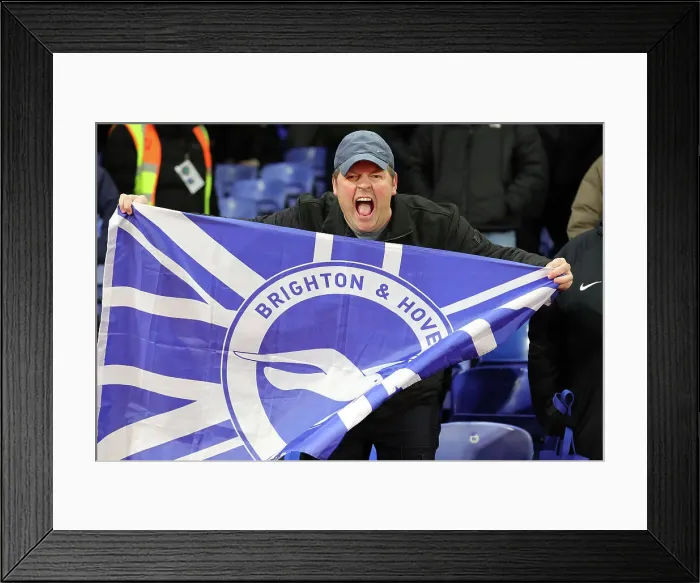 Framed Print : Decisive Moment: Crystal Palace vs. Brighton & Hove Albion, Premier League 2023 / 24 Framed Print : Decisive Moment: Crystal Palace vs. Brighton & Hove Albion, Premier League 2023 / 24