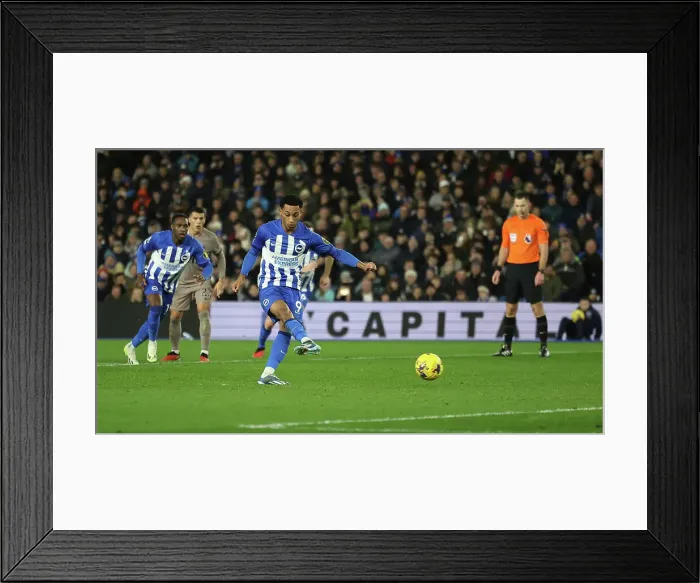 Framed Print : Brighton & Hove Albion vs. Tottenham Hotspur: A Premier League Battle at American Express Stadium (28DEC23)