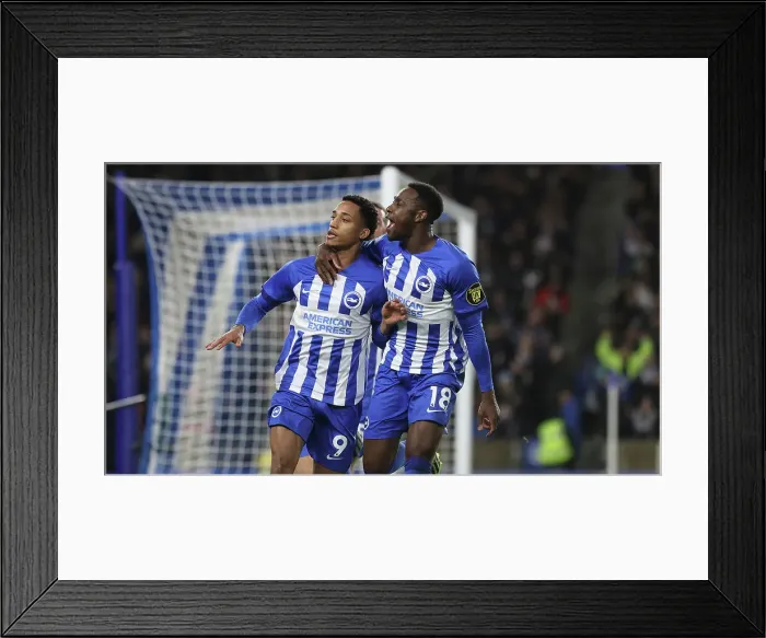 Framed Print : Brighton and Hove Albion vs. Tottenham Hotspur: A Premier League Battle at the American Express Stadium (28DEC23)