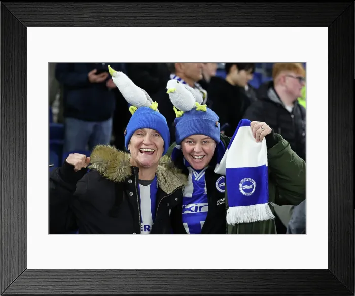 Framed Print : Brighton & Hove Albion vs. Tottenham Hotspur: A Premier League Battle at American Express Stadium (28DEC23) Framed Print : Brighton & Hove Albion vs. Tottenham Hotspur: A Premier League Battle at American Express Stadium (28DEC23)