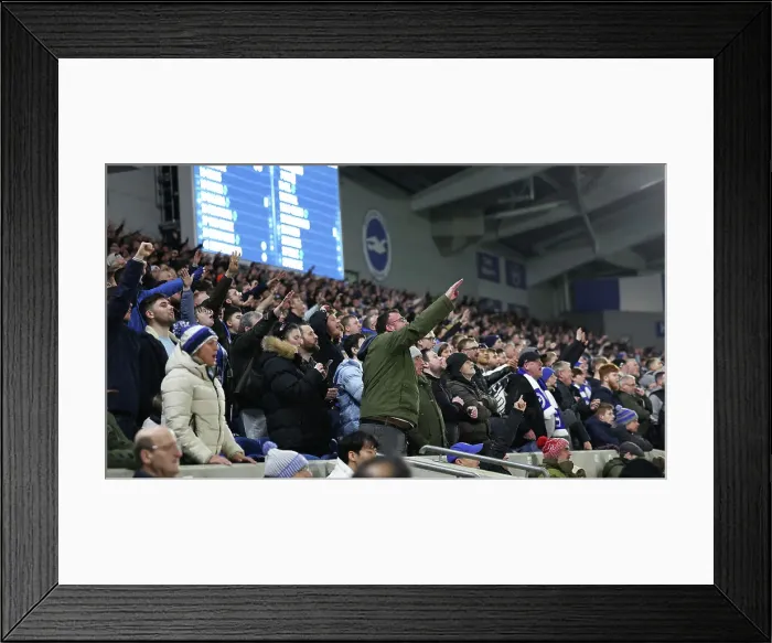 Framed Print : Premier League Showdown: Brighton & Hove Albion vs. Tottenham Hotspur (28DEC23) - American Express Stadium