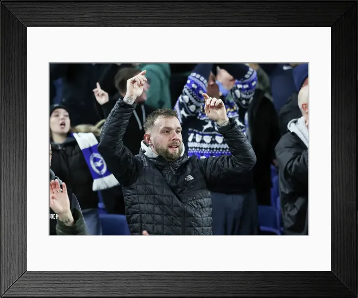 Framed Print : Premier League Showdown: Brighton & Hove Albion vs. Tottenham Hotspur (28DEC23) - American Express Stadium Framed Print : Premier League Showdown: Brighton & Hove Albion vs. Tottenham Hotspur (28DEC23) - American Express Stadium