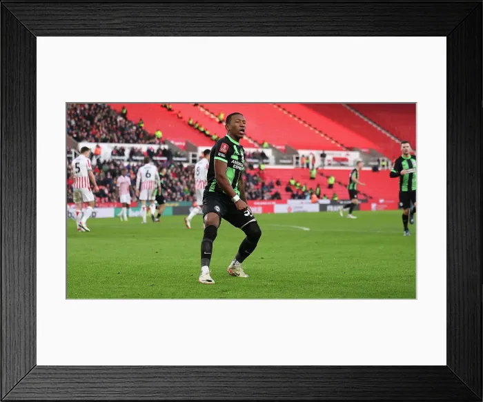 Framed Print : FA Cup 3rd Round: Showdown at bet365 Stadium - Brighton and Hove Albion vs Stoke City (06.01.24) Framed Print : FA Cup 3rd Round: Showdown at bet365 Stadium - Brighton and Hove Albion vs Stoke City (06.01.24)