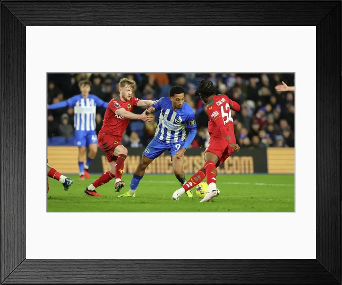 Framed Print : Intense Premier League Showdown: Brighton & Hove Albion vs. Wolverhampton Wanderers (January 21, 2024) Framed Print : Intense Premier League Showdown: Brighton & Hove Albion vs. Wolverhampton Wanderers (January 21, 2024)