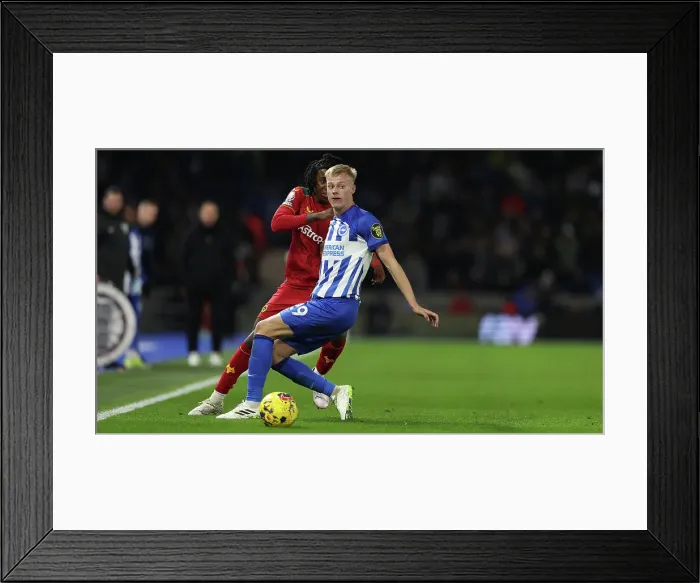 Framed Print : Brighton and Hove Albion vs. Wolverhampton Wanderers: A Premier League Clash at American Express Stadium (January 21, 2024) Framed Print : Brighton and Hove Albion vs. Wolverhampton Wanderers: A Premier League Clash at American Express Stadium (January 21, 2024)