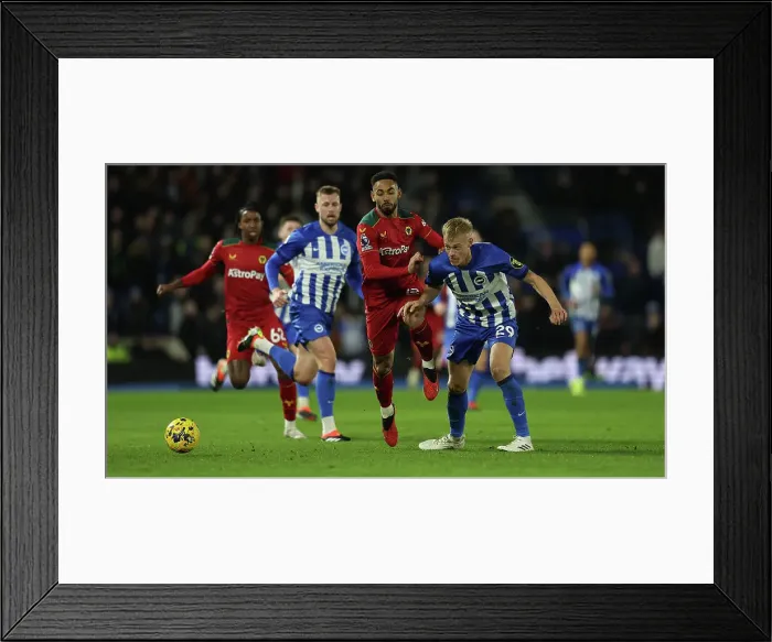 Framed Print : Intense Premier League Showdown: Brighton & Hove Albion vs. Wolverhampton Wanderers (January 21, 2024) Framed Print : Intense Premier League Showdown: Brighton & Hove Albion vs. Wolverhampton Wanderers (January 21, 2024)