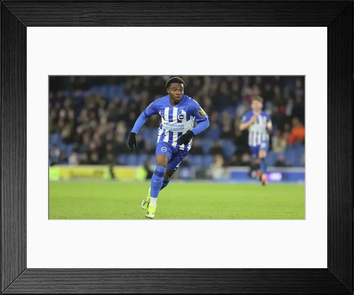Framed Print : Intense Premier League Showdown: Brighton & Hove Albion vs. Wolverhampton Wanderers (January 21, 2024) Framed Print : Intense Premier League Showdown: Brighton & Hove Albion vs. Wolverhampton Wanderers (January 21, 2024)