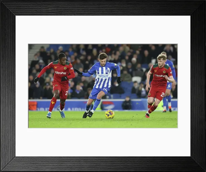 Framed Print : Intense Premier League Showdown: Brighton & Hove Albion vs. Wolverhampton Wanderers (January 21, 2024) Framed Print : Intense Premier League Showdown: Brighton & Hove Albion vs. Wolverhampton Wanderers (January 21, 2024)