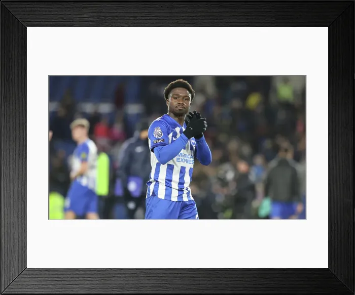 Framed Print : Intense Premier League Showdown: Brighton & Hove Albion vs. Wolverhampton Wanderers (January 21, 2024)