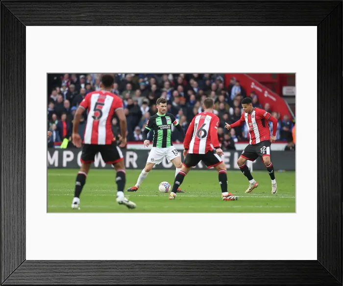 Framed Print : Brighton and Hove Albion vs Sheffield United: FA Cup 4th Round Battle at Bramall Lane (27Jan24) Framed Print : Brighton and Hove Albion vs Sheffield United: FA Cup 4th Round Battle at Bramall Lane (27Jan24)