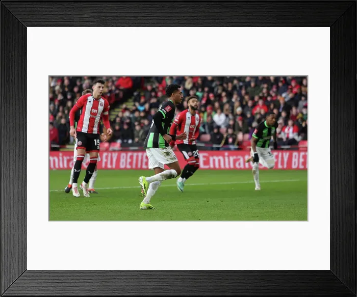 Framed Print : Brighton and Hove Albion vs Sheffield United: FA Cup 4th Round Battle at Bramall Lane (27Jan24)