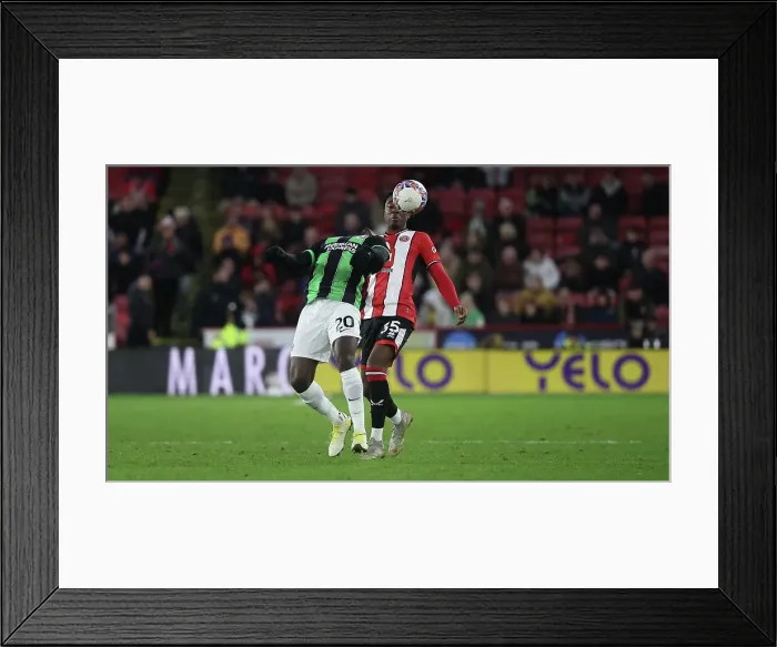 Framed Print : Brighton and Hove Albion vs Sheffield United: FA Cup 4th Round Battle at Bramall Lane (27Jan24) Framed Print : Brighton and Hove Albion vs Sheffield United: FA Cup 4th Round Battle at Bramall Lane (27Jan24)