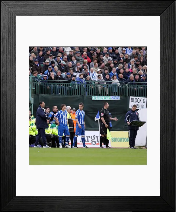 Framed Print : Brighton & Hove Albion: 2009-10 Home Matches vs Yeovil Town Framed Print : Brighton & Hove Albion: 2009-10 Home Matches vs Yeovil Town