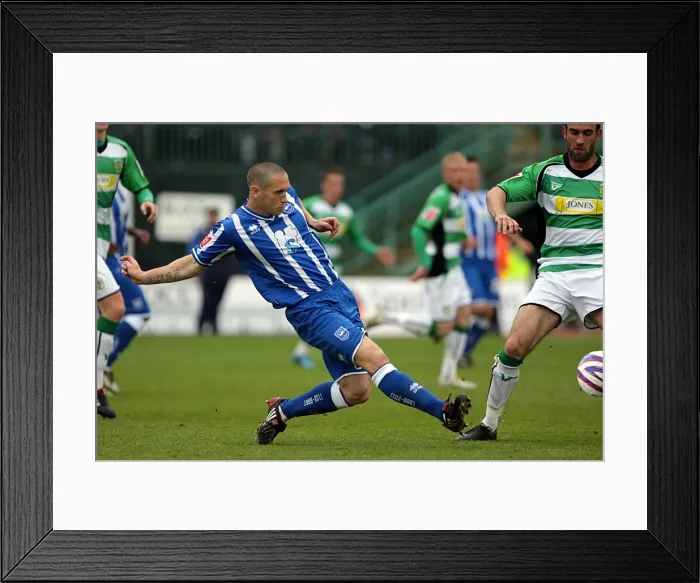 Framed Print : Brighton & Hove Albion: 2009-10 Home Matches vs Yeovil Town Framed Print : Brighton & Hove Albion: 2009-10 Home Matches vs Yeovil Town
