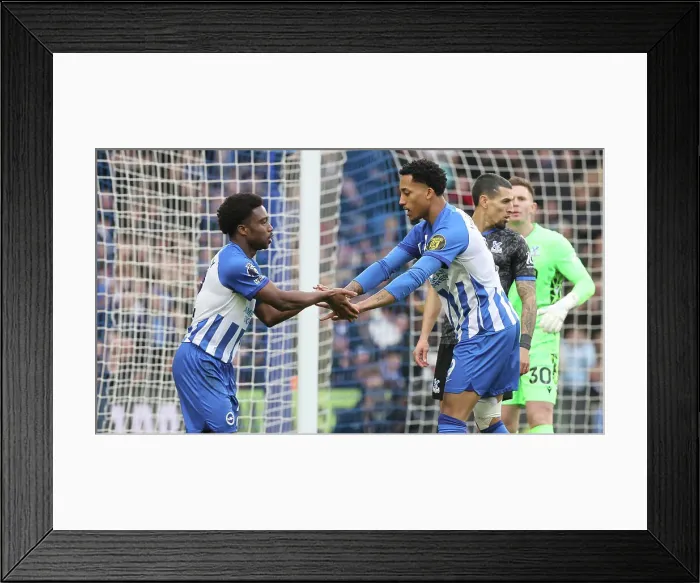 Framed Print : Brighton and Hove Albion v Crystal Palace Premier League 04FEB24 Framed Print : Brighton and Hove Albion v Crystal Palace Premier League 04FEB24