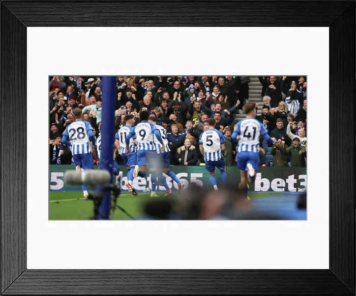 Framed Print : Brighton and Hove Albion v Crystal Palace Premier League 04FEB24 Framed Print : Brighton and Hove Albion v Crystal Palace Premier League 04FEB24