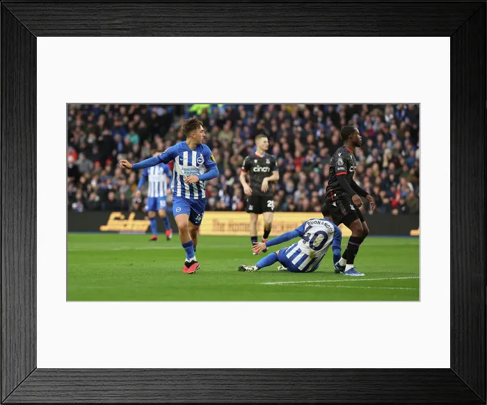 Framed Print : Brighton and Hove Albion v Crystal Palace Premier League 04FEB24 Framed Print : Brighton and Hove Albion v Crystal Palace Premier League 04FEB24