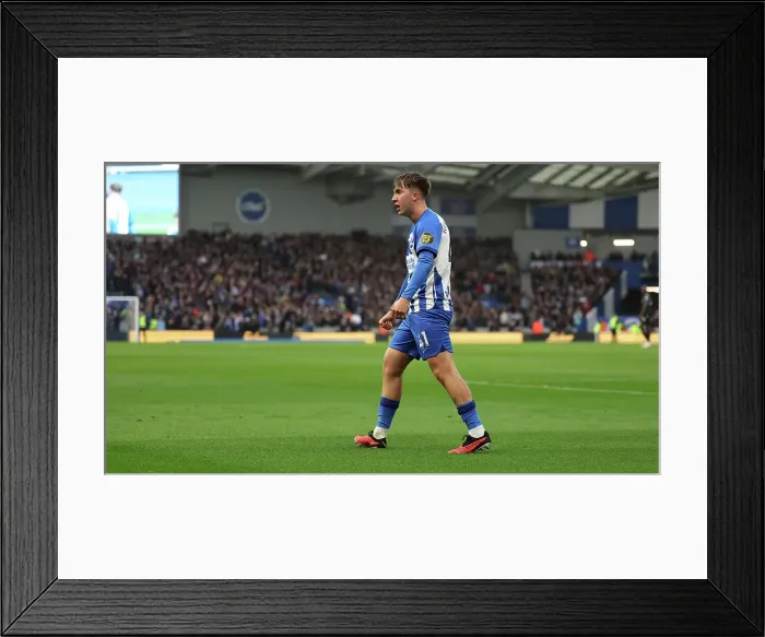 Framed Print : Brighton and Hove Albion v Crystal Palace Premier League 04FEB24 Framed Print : Brighton and Hove Albion v Crystal Palace Premier League 04FEB24