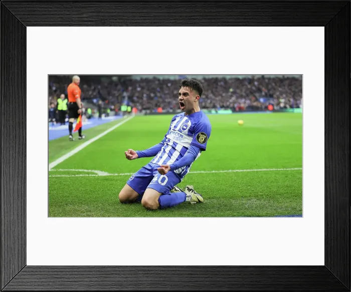 Framed Print : Brighton and Hove Albion v Crystal Palace Premier League 04FEB24 Framed Print : Brighton and Hove Albion v Crystal Palace Premier League 04FEB24