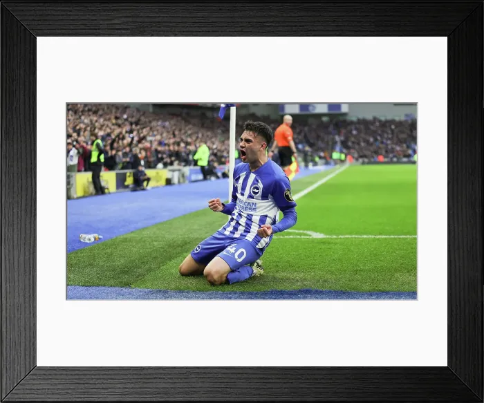 Framed Print : Brighton and Hove Albion v Crystal Palace Premier League 04FEB24 Framed Print : Brighton and Hove Albion v Crystal Palace Premier League 04FEB24