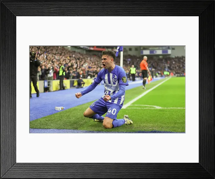 Framed Print : Brighton and Hove Albion v Crystal Palace Premier League 04FEB24 Framed Print : Brighton and Hove Albion v Crystal Palace Premier League 04FEB24