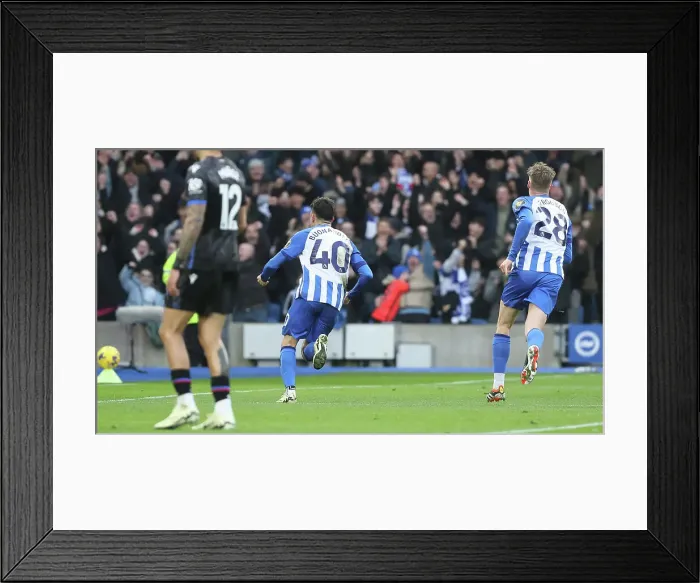 Framed Print : Brighton and Hove Albion v Crystal Palace Premier League 04FEB24 Framed Print : Brighton and Hove Albion v Crystal Palace Premier League 04FEB24