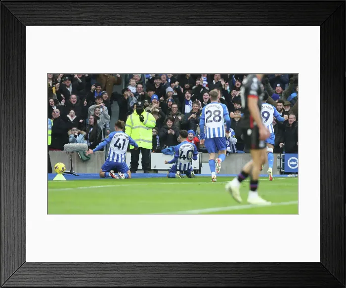 Framed Print : Brighton and Hove Albion v Crystal Palace Premier League 04FEB24 Framed Print : Brighton and Hove Albion v Crystal Palace Premier League 04FEB24