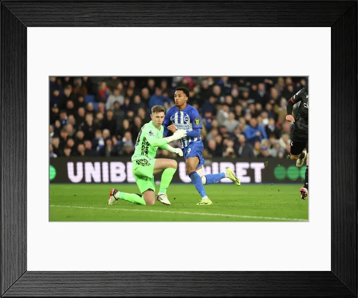 Framed Print : Brighton and Hove Albion v Crystal Palace Premier League 04FEB24 Framed Print : Brighton and Hove Albion v Crystal Palace Premier League 04FEB24