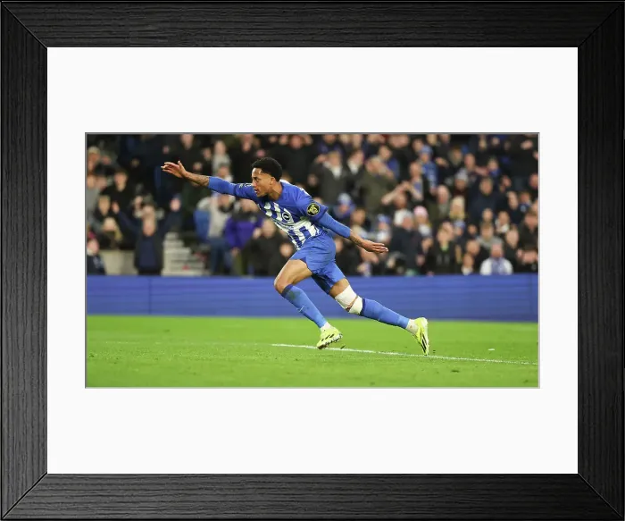 Framed Print : Brighton and Hove Albion v Crystal Palace Premier League 04FEB24 Framed Print : Brighton and Hove Albion v Crystal Palace Premier League 04FEB24