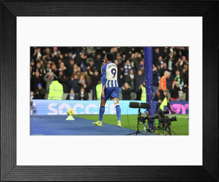 Framed Print : Brighton and Hove Albion v Crystal Palace Premier League 04FEB24 Framed Print : Brighton and Hove Albion v Crystal Palace Premier League 04FEB24