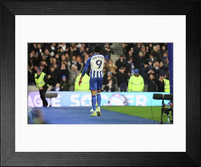 Framed Print : Brighton and Hove Albion v Crystal Palace Premier League 04FEB24 Framed Print : Brighton and Hove Albion v Crystal Palace Premier League 04FEB24