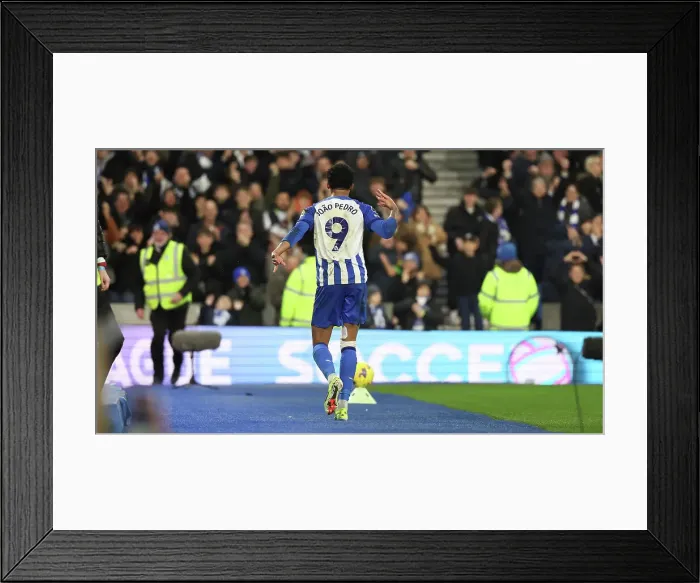 Framed Print : Brighton and Hove Albion v Crystal Palace Premier League 04FEB24