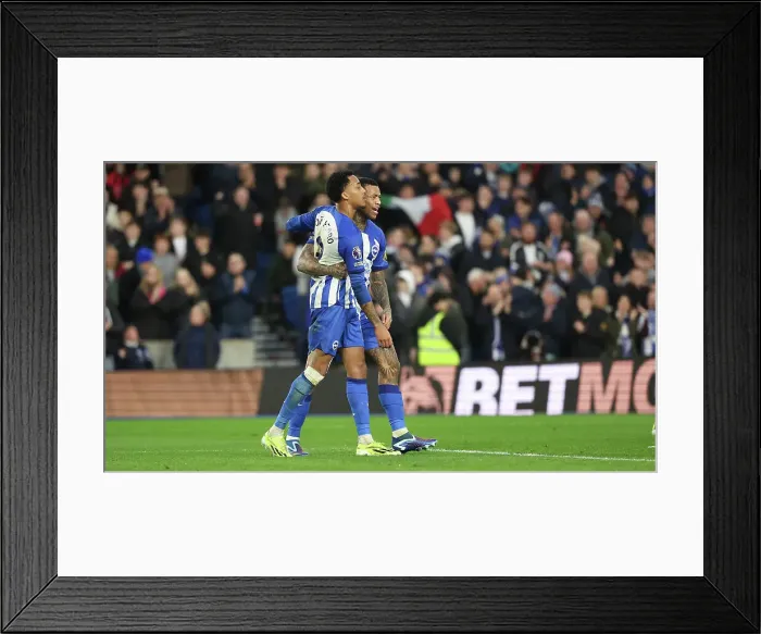 Framed Print : Brighton and Hove Albion v Crystal Palace Premier League 04FEB24 Framed Print : Brighton and Hove Albion v Crystal Palace Premier League 04FEB24