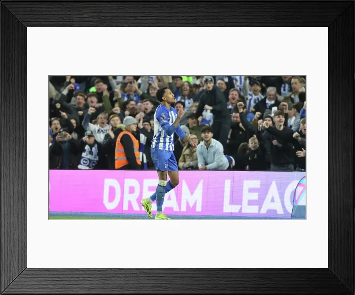 Framed Print : Brighton and Hove Albion v Crystal Palace Premier League 04FEB24 Framed Print : Brighton and Hove Albion v Crystal Palace Premier League 04FEB24