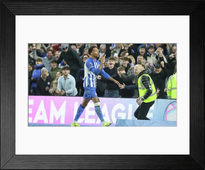 Framed Print : Brighton and Hove Albion v Crystal Palace Premier League 04FEB24 Framed Print : Brighton and Hove Albion v Crystal Palace Premier League 04FEB24